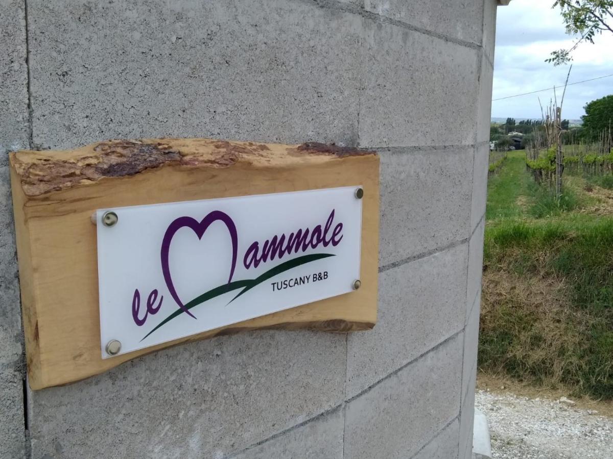 Le Mammole Bed & Breakfast San Miniato Exterior photo