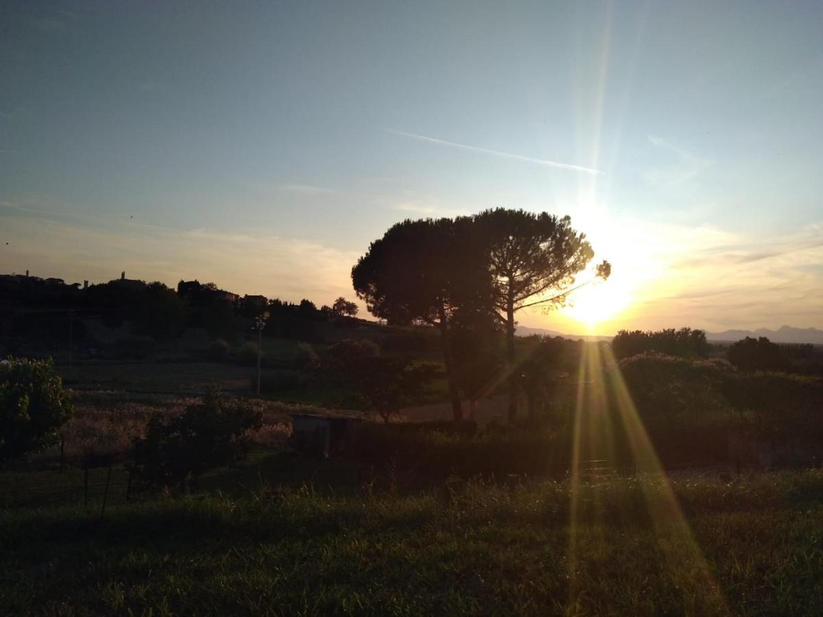 Le Mammole Bed & Breakfast San Miniato Exterior photo